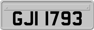 GJI1793