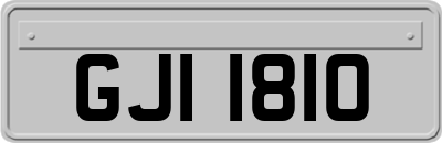 GJI1810