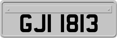 GJI1813