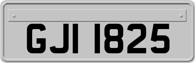 GJI1825