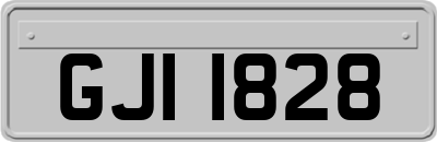 GJI1828