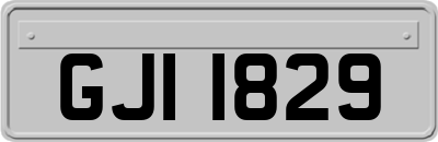 GJI1829