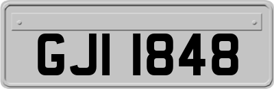 GJI1848