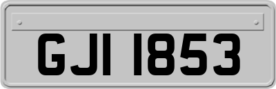 GJI1853