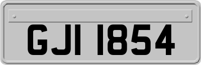 GJI1854