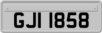 GJI1858