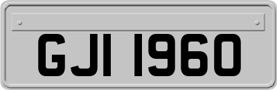 GJI1960