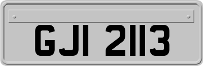 GJI2113