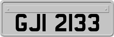 GJI2133