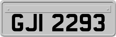 GJI2293