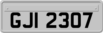 GJI2307