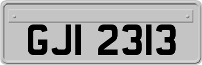 GJI2313