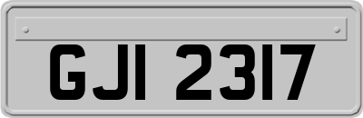 GJI2317