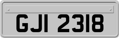 GJI2318