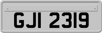 GJI2319