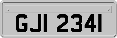 GJI2341