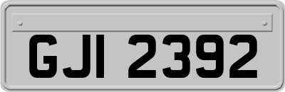 GJI2392