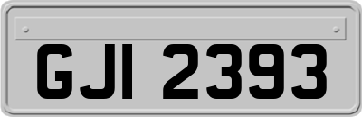 GJI2393