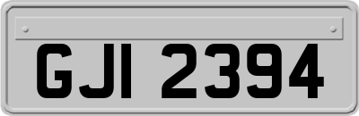 GJI2394