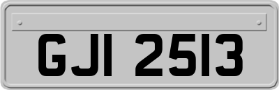 GJI2513