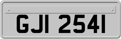 GJI2541