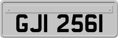 GJI2561