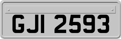 GJI2593