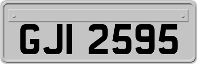 GJI2595