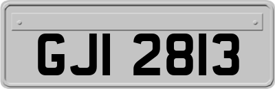 GJI2813