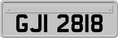 GJI2818