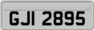 GJI2895