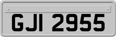 GJI2955