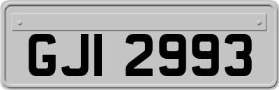 GJI2993