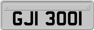 GJI3001