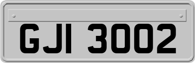 GJI3002