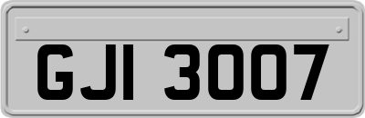 GJI3007