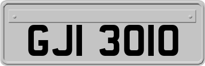 GJI3010