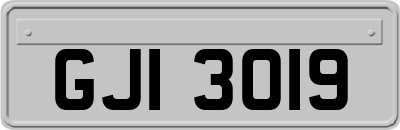 GJI3019