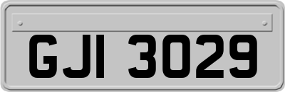 GJI3029