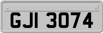 GJI3074