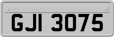GJI3075