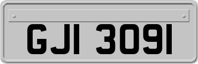GJI3091