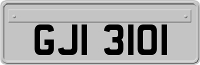 GJI3101