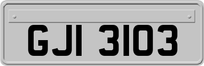 GJI3103
