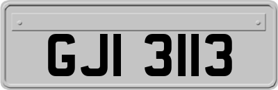 GJI3113