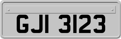 GJI3123
