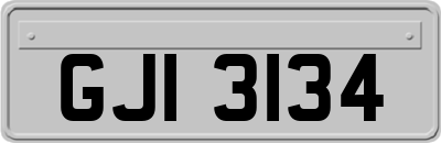 GJI3134