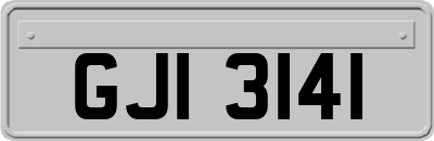 GJI3141