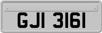 GJI3161