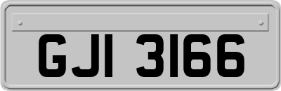 GJI3166